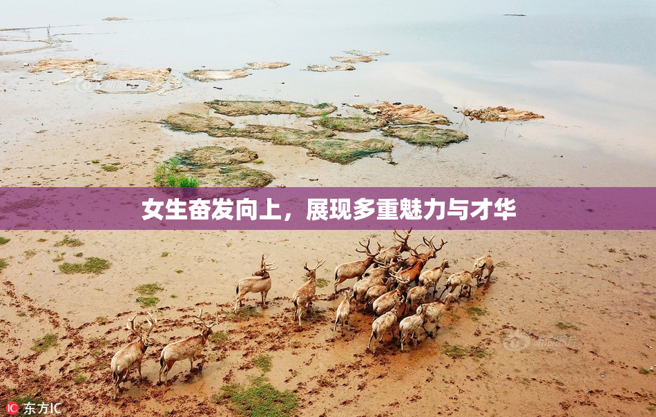 女生奋发向上，展现多重魅力与才华