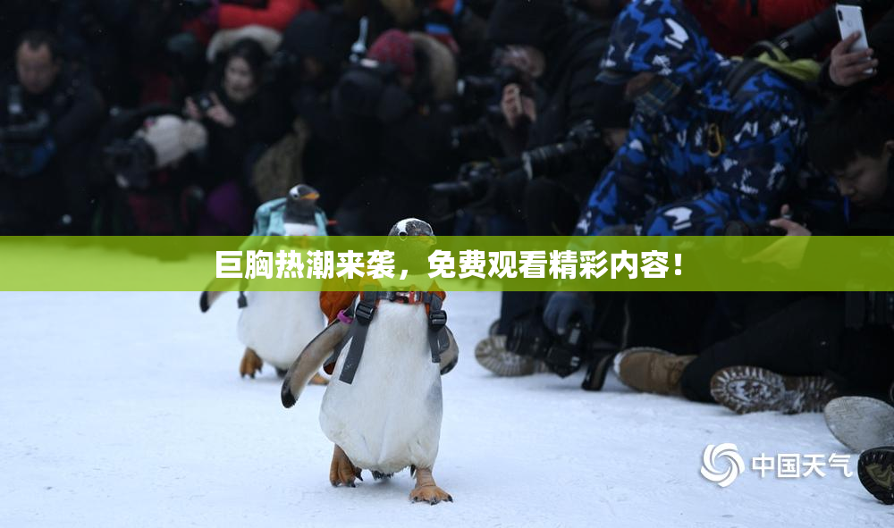 巨胸热潮来袭，免费观看精彩内容！