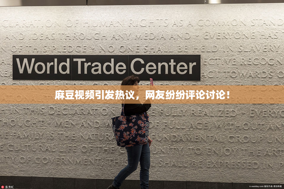 麻豆视频引发热议，网友纷纷评论讨论！