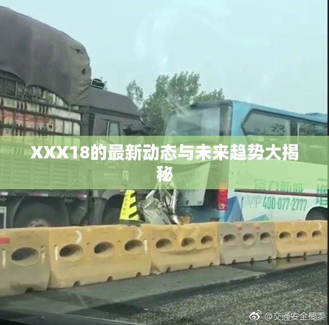 XXX18的最新动态与未来趋势大揭秘