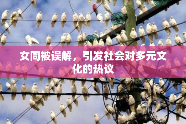 女同被误解，引发社会对多元文化的热议