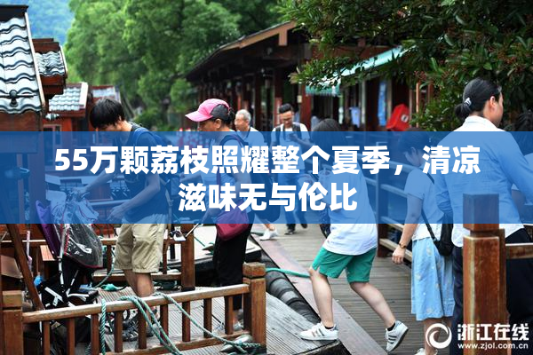 55万颗荔枝照耀整个夏季，清凉滋味无与伦比