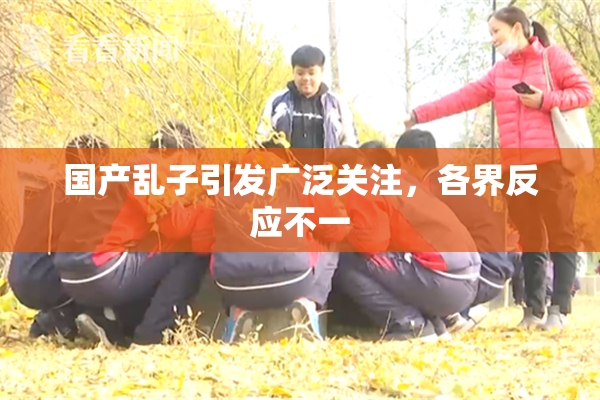 国产乱子引发广泛关注，各界反应不一