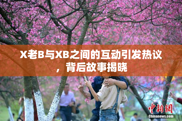 X老B与XB之间的互动引发热议，背后故事揭晓