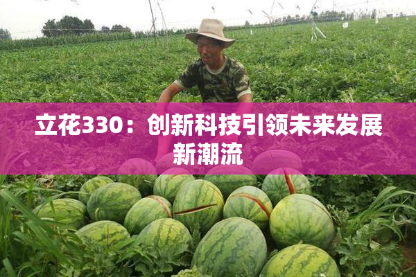 立花330：创新科技引领未来发展新潮流