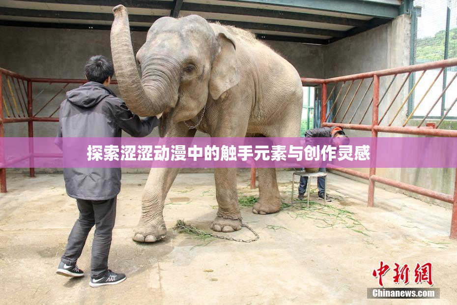 探索涩涩动漫中的触手元素与创作灵感