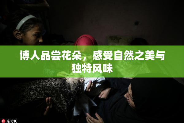 博人品尝花朵，感受自然之美与独特风味