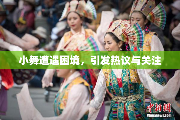 小舞遭遇困境，引发热议与关注