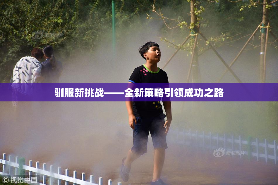 驯服新挑战——全新策略引领成功之路