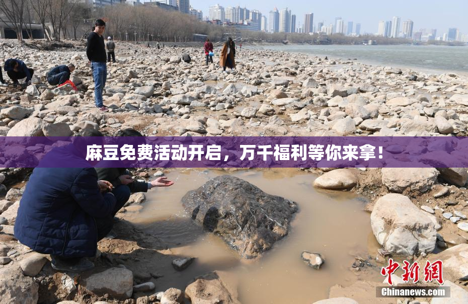 麻豆免费活动开启，万千福利等你来拿！