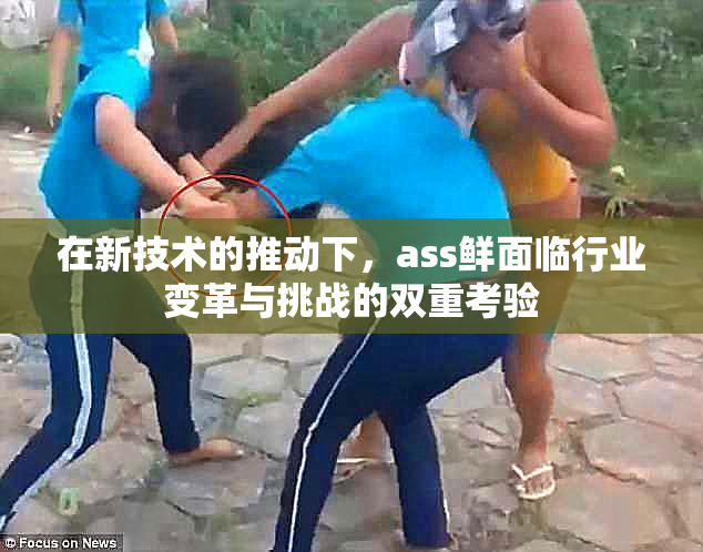 在新技术的推动下，ass鲜面临行业变革与挑战的双重考验