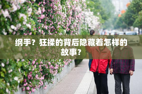 纲手？狂揉的背后隐藏着怎样的故事？