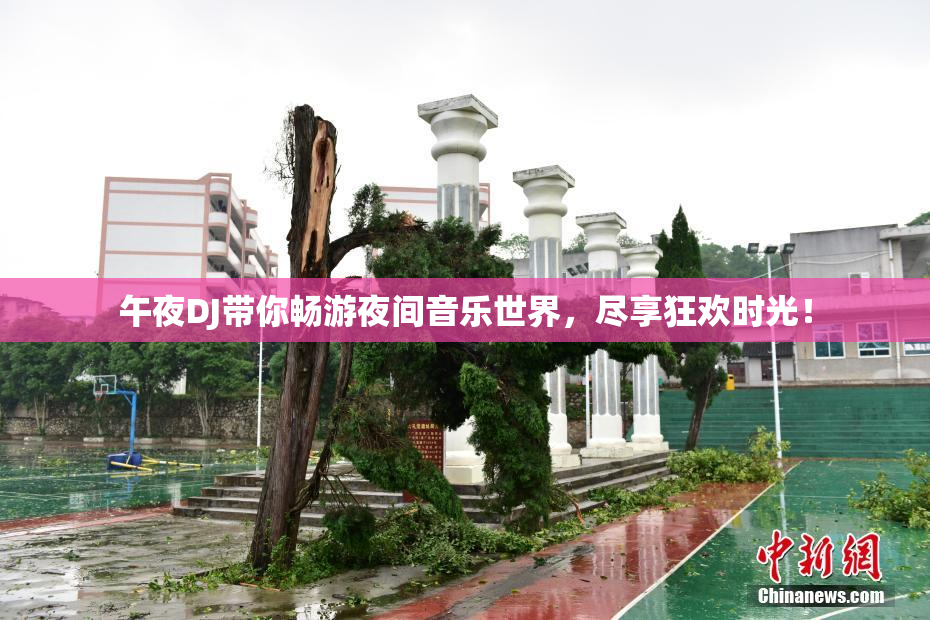 午夜DJ带你畅游夜间音乐世界，尽享狂欢时光！