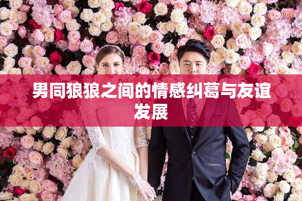 男同狼狼之间的情感纠葛与友谊发展