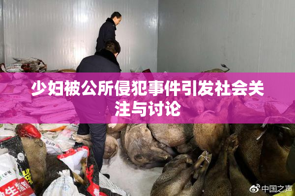 少妇被公所侵犯事件引发社会关注与讨论