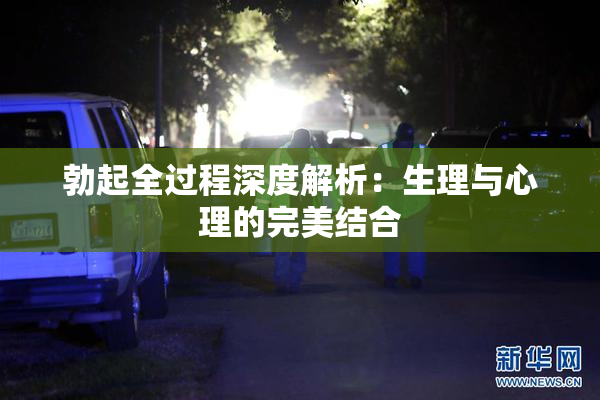 勃起全过程深度解析：生理与心理的完美结合