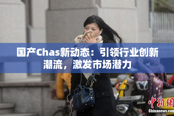 国产Chas新动态：引领行业创新潮流，激发市场潜力