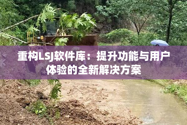 重构LSJ软件库：提升功能与用户体验的全新解决方案