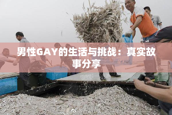 男性GAY的生活与挑战：真实故事分享
