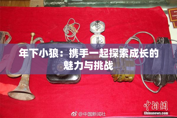 年下小狼：携手一起探索成长的魅力与挑战