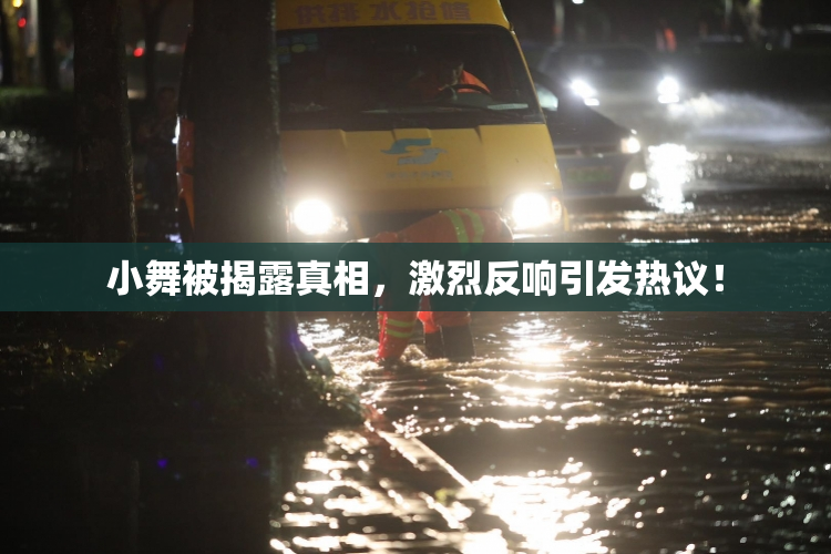 小舞被揭露真相，激烈反响引发热议！