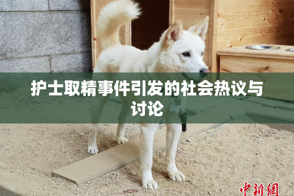 护士取精事件引发的社会热议与讨论