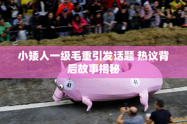 小矮人一级毛重引发话题 热议背后故事揭秘