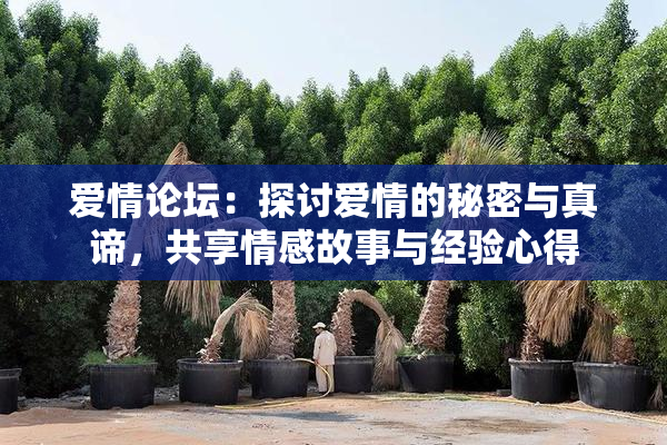 爱情论坛：探讨爱情的秘密与真谛，共享情感故事与经验心得