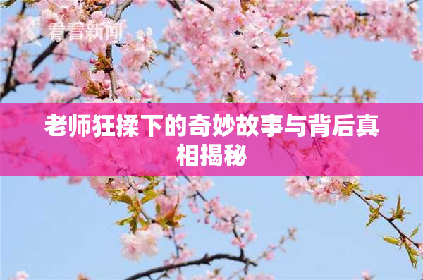 老师狂揉下的奇妙故事与背后真相揭秘