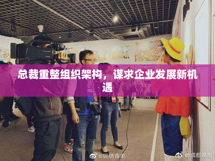 总裁重整组织架构，谋求企业发展新机遇