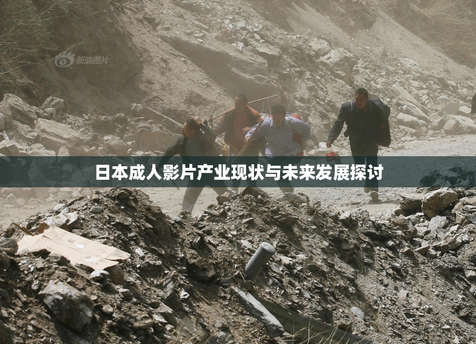 日本成人影片产业现状与未来发展探讨