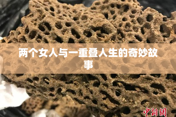 两个女人与一重叠人生的奇妙故事