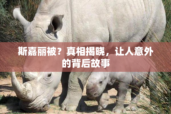 斯嘉丽被？真相揭晓，让人意外的背后故事