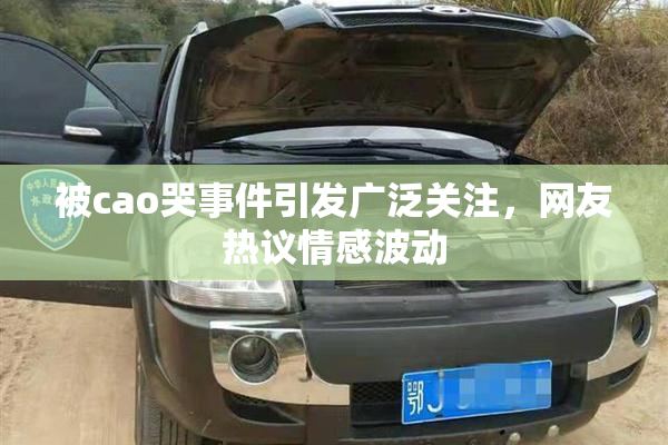 被cao哭事件引发广泛关注，网友热议情感波动