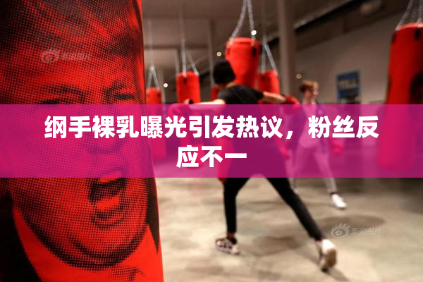 纲手裸乳曝光引发热议，粉丝反应不一