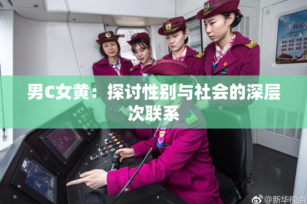 男C女黄：探讨性别与社会的深层次联系