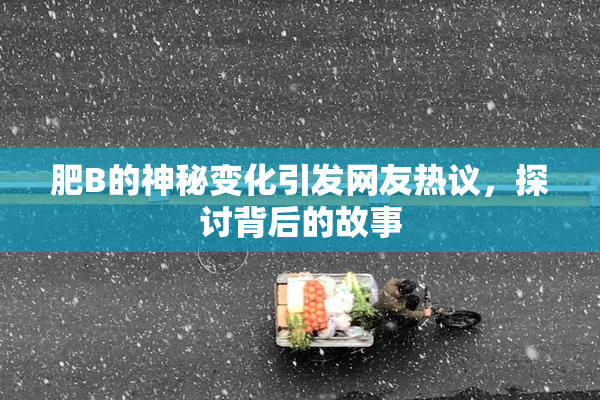 肥B的神秘变化引发网友热议，探讨背后的故事