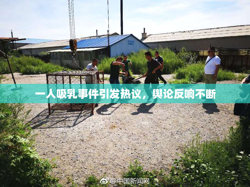 一人吸乳事件引发热议，舆论反响不断