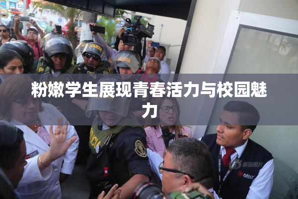 粉嫩学生展现青春活力与校园魅力