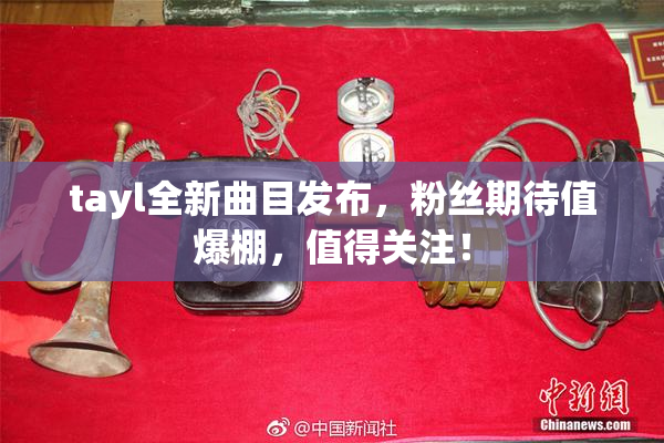 tayl全新曲目发布，粉丝期待值爆棚，值得关注！