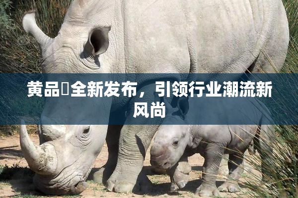 黄品匯全新发布，引领行业潮流新风尚