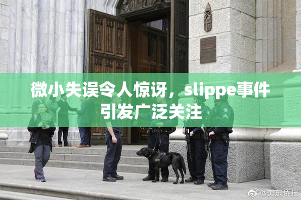 微小失误令人惊讶，slippe事件引发广泛关注