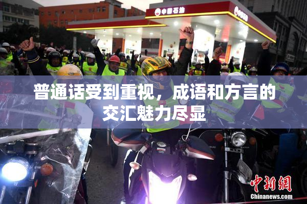 普通话受到重视，成语和方言的交汇魅力尽显