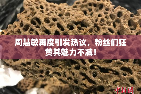 周慧敏再度引发热议，粉丝们狂赞其魅力不减！