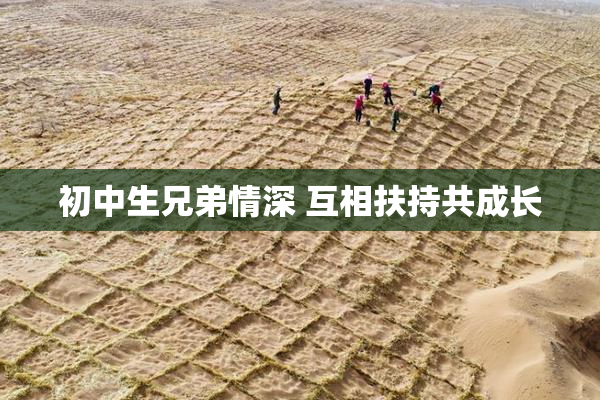 初中生兄弟情深 互相扶持共成长