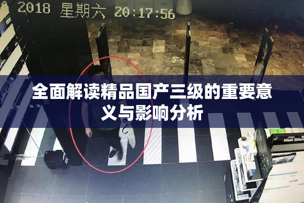 全面解读精品国产三级的重要意义与影响分析