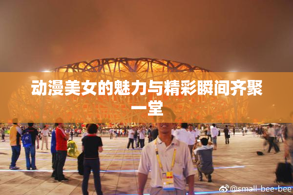 动漫美女的魅力与精彩瞬间齐聚一堂