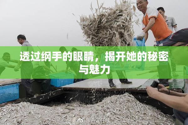 透过纲手的眼睛，揭开她的秘密与魅力