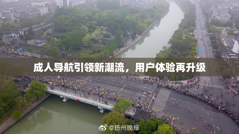 成人导航引领新潮流，用户体验再升级