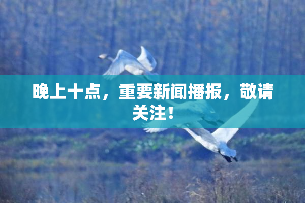 晚上十点，重要新闻播报，敬请关注！